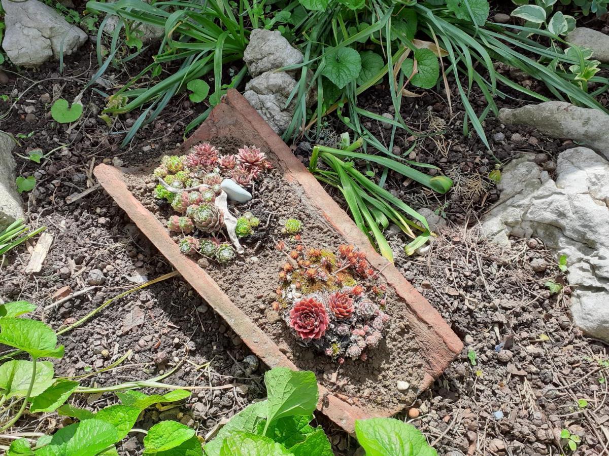 Les Copains D'Abord Villa Beaucroissant Exteriör bild
