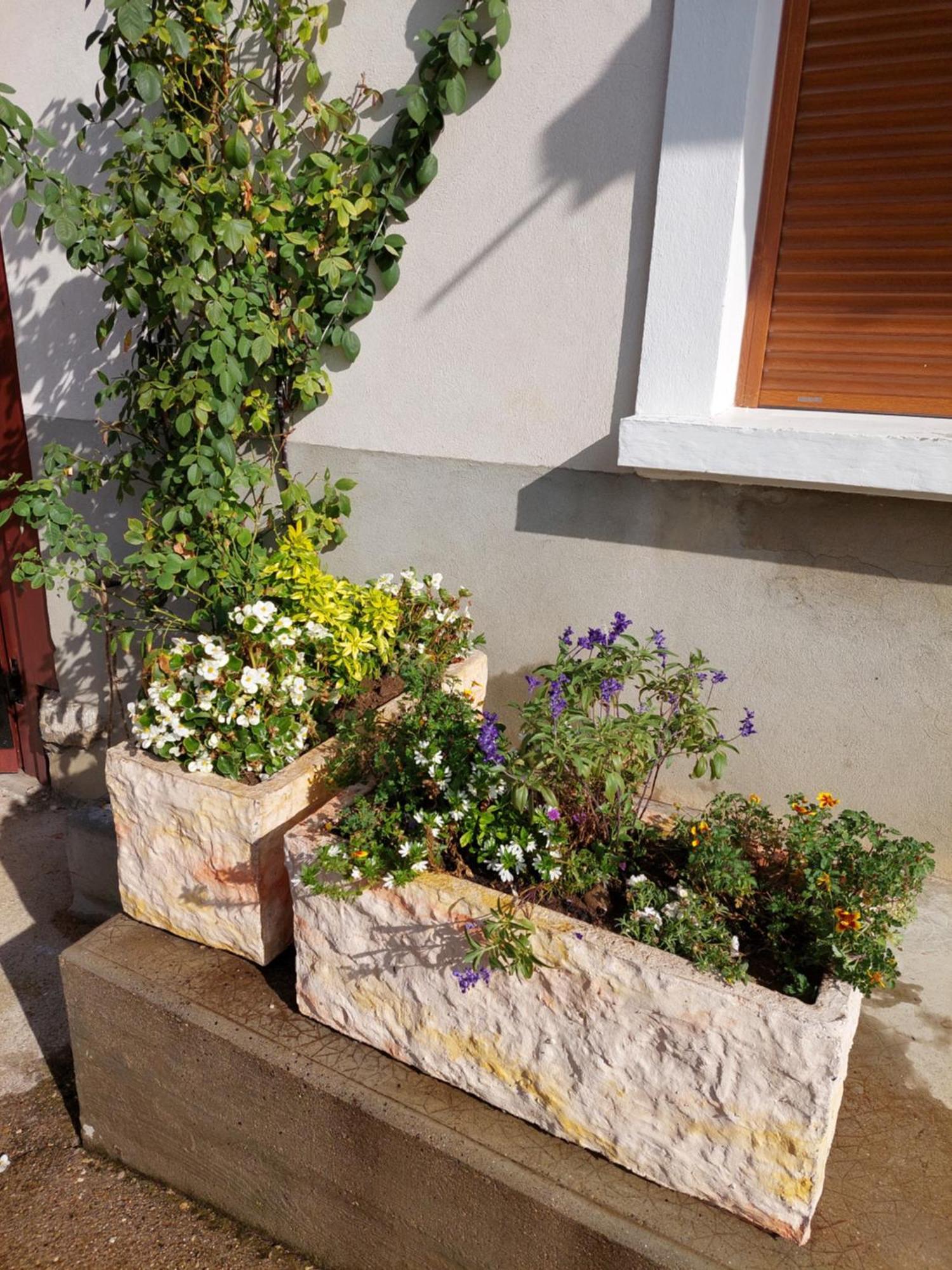 Les Copains D'Abord Villa Beaucroissant Exteriör bild